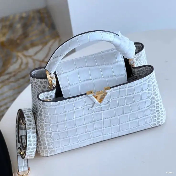 2210YA0129 Bag LV 0723